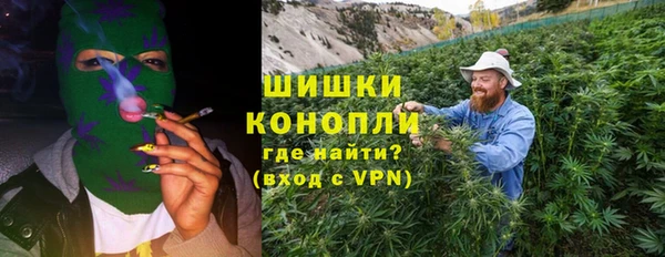 дмт Белокуриха